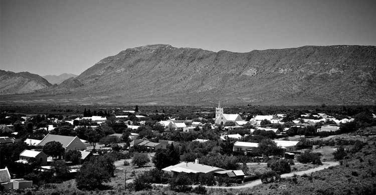 Prince Albert (dada2005, Foter)