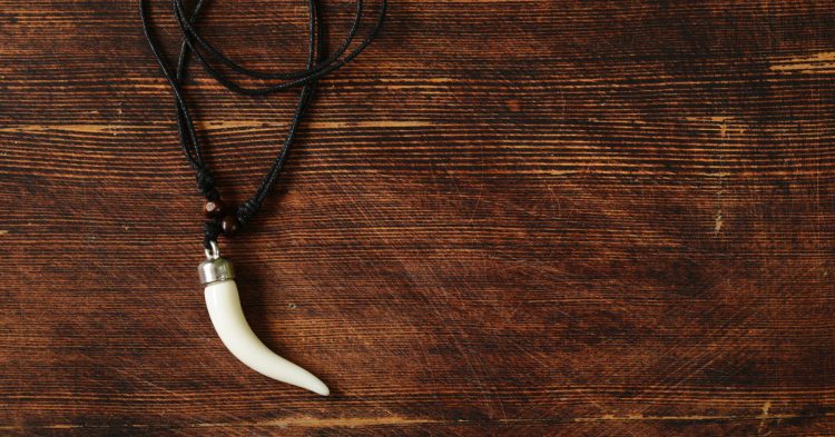 Imagen de un collar hecho con un colmillo. 