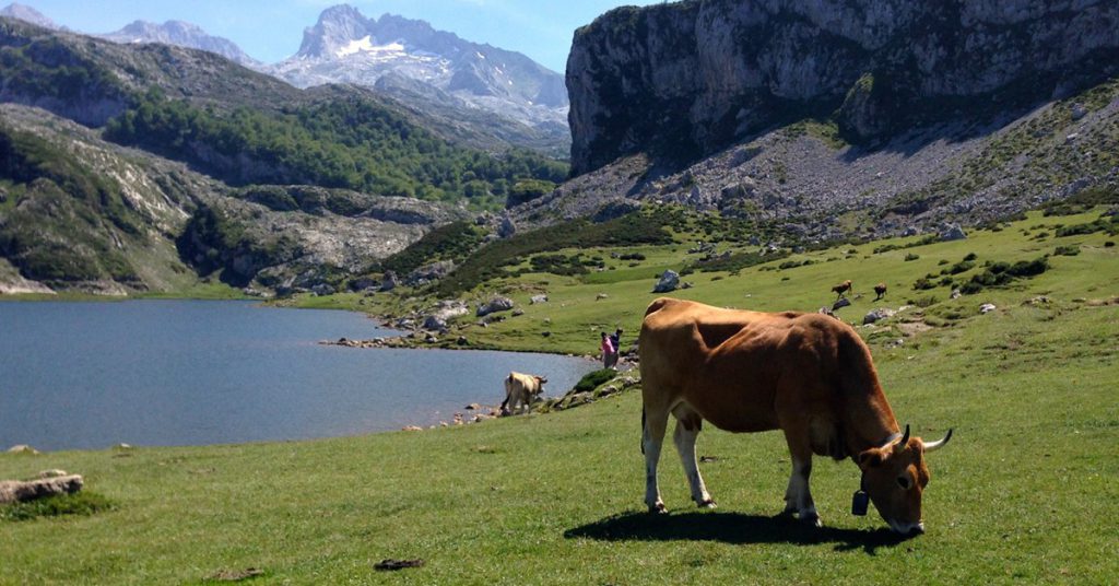 Lagos de Covadonga (Flickr, Oswaldo Rubio)