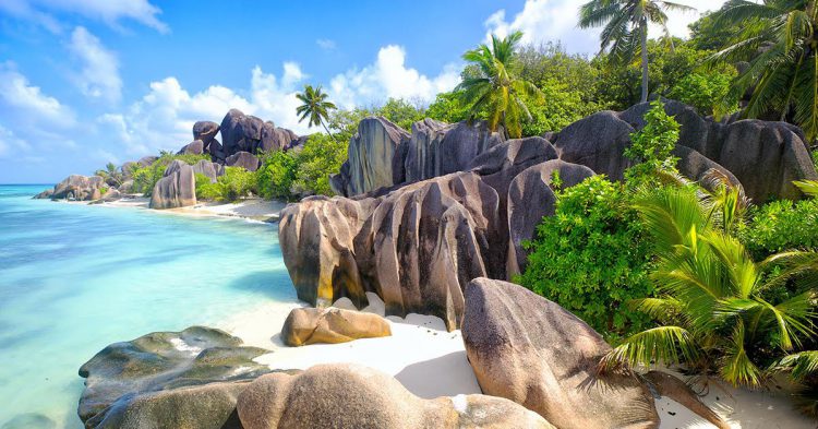 Ya vienen los mosquitos. ¡Huye a las Islas Seychelles!