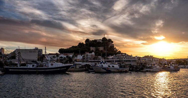Denia (ramopant, Foter)