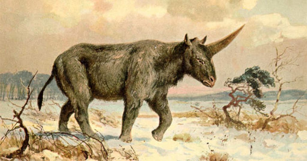 Sigue leyendo De dónde vienen los unicornios