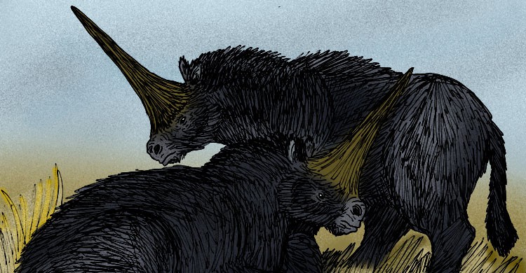 Dibujo de dos Elasmotherium sibiricum o rinocerontes siberianos