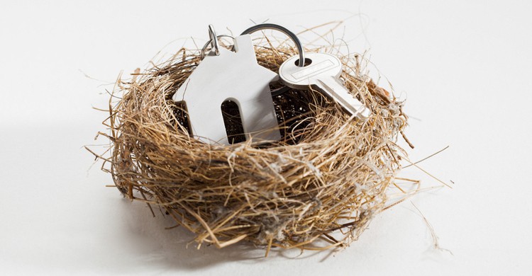Nesting (STUDIOGRANDOUEST, iStock)