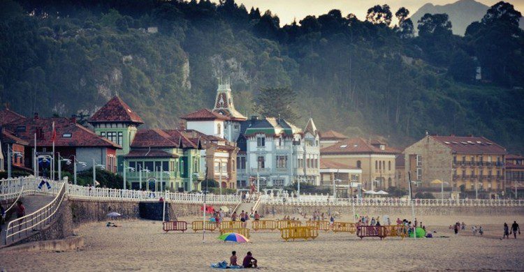 Ribadesella (Neticola, Foter)