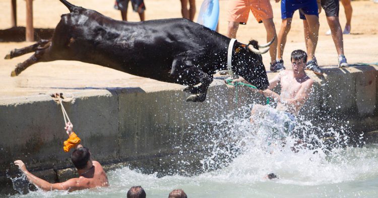 Imagen del bous a la mar de Denia.