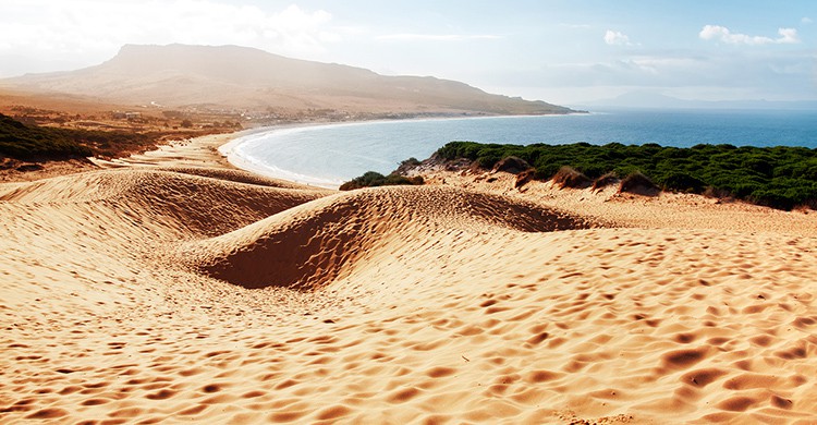 Playa virgen en Bolonia, Cádiz