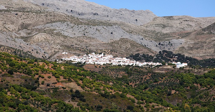 Parauta (iStock)