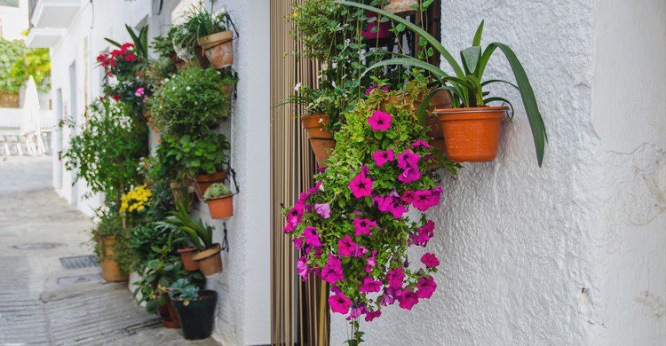 Capileira en verano