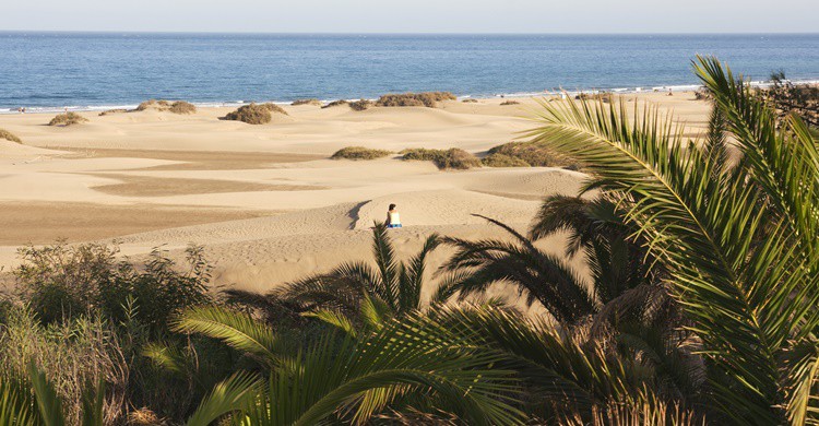 2. Playas