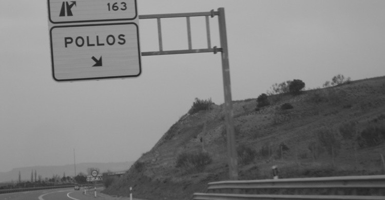 6. Pollos.