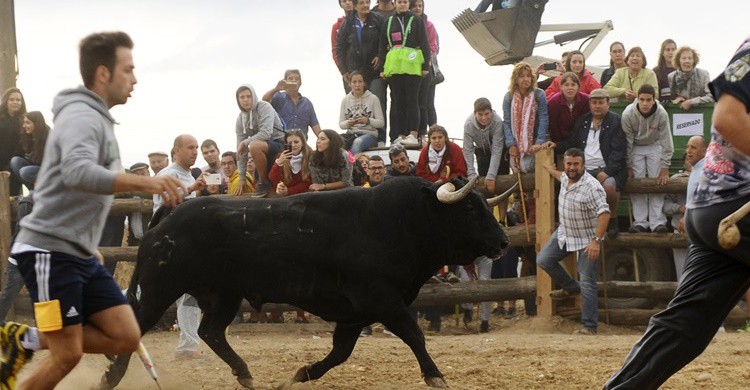 3. Tordesillas.