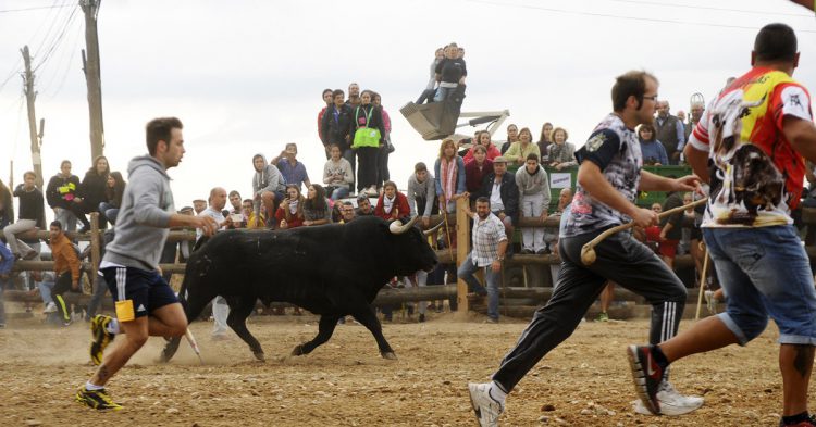 Imagen de la celebración del Toro de la Vega en Tordesillas. 