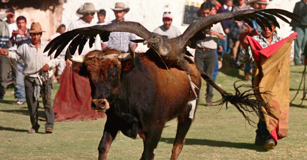 Sigue leyendo 7 tradiciones alrededor del mundo que son más crueles que los toros