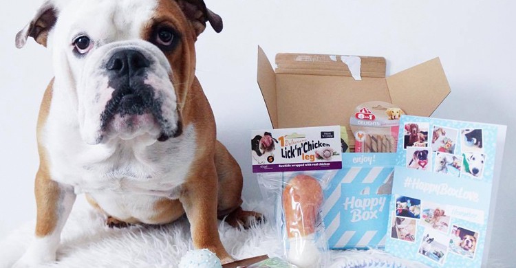 Junior posando con una Happy Box (Holidog, Facebook)