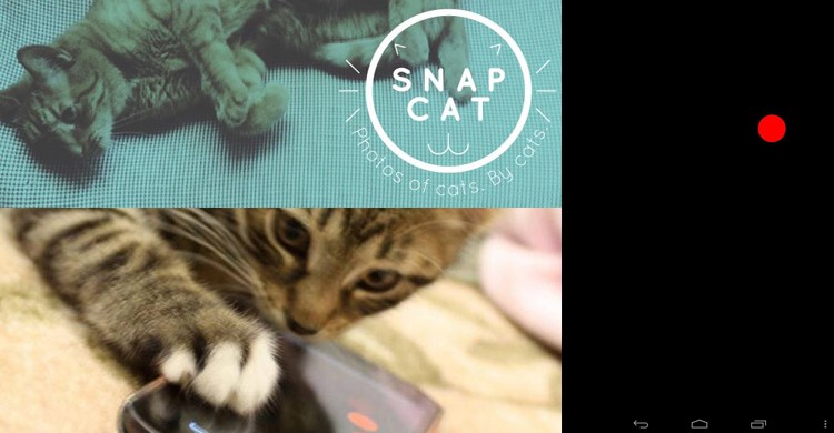 Pantallazos y logo de la app Snapcat (Snapcat, Facebook)