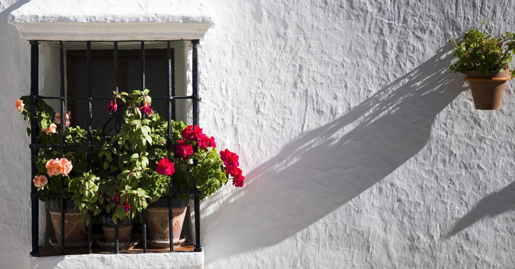 Sigue leyendo 7 pueblos blancos de Málaga que debes ver este verano