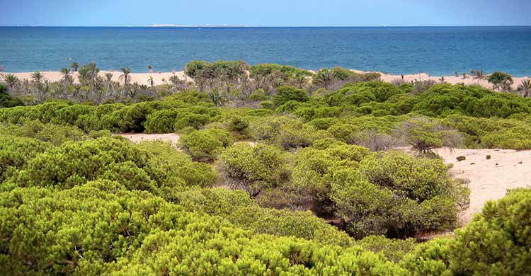 Guardarmar en verano