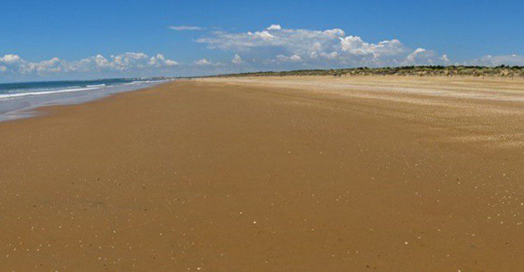 Playa de Punta Umbría. Rafolas (Flickr)