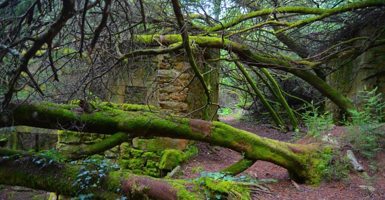 aldeas abandonadas de Galicia