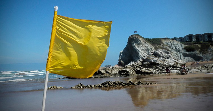 Bandera amarilla (simbiosc, Foter)