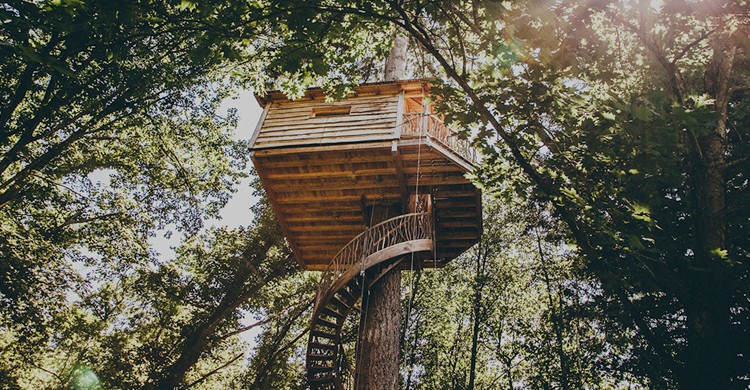 Vista de una de las cabañas (Web de Cabañas en los árboles Euskadi)