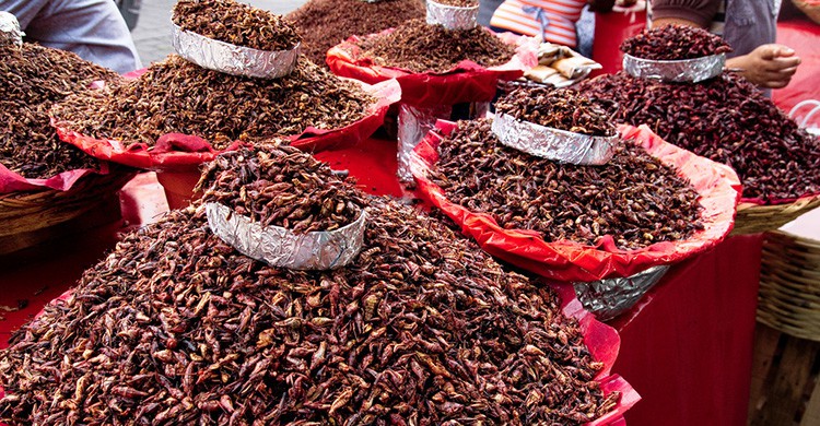 Chapulines en un mercado mexicano
