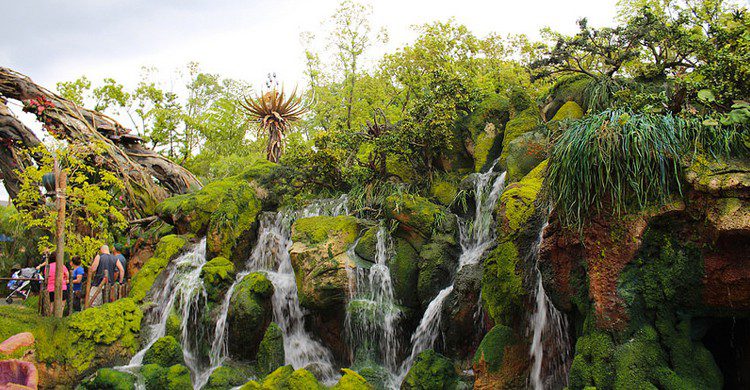 Pandora (Theme Park Tourist, Foter)