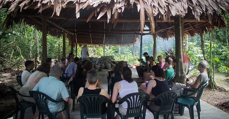 Retiro de ayahuasca