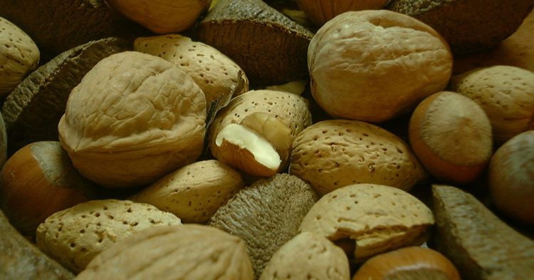 Frutos secos, un aperitivo ideal pero que no debes tomar en exceso (Fuente: Will Powell / Flickr)