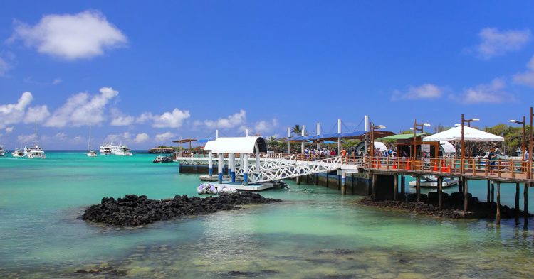 Islas Galápagos para bucear y nadar