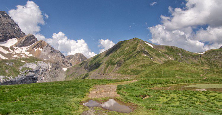 Pirineo en verano