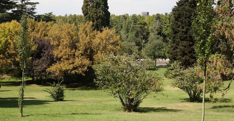 El Parque del Oeste en Madrid (Fuente: Olga Berrios / Flickr)