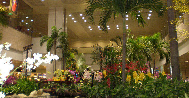 La decoración a base de de árboles y plantas es característico en el aeropuerto de Changi (Fuente: Jason Thien / Flickr)