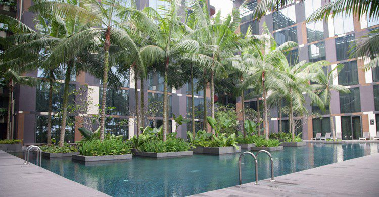 Piscina y zonas de relax en el aeropuerto de Changi (Fuente: Todd Wade / Flickr)
