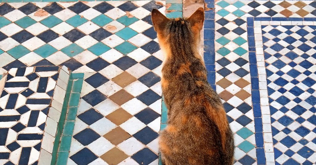 Los bonitos azulejos del Palacio de la Bahía de Marrakech (Fuente: Barbara Piancastelli / Flickr)