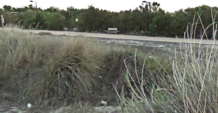 7. Playa Arbre del Gos