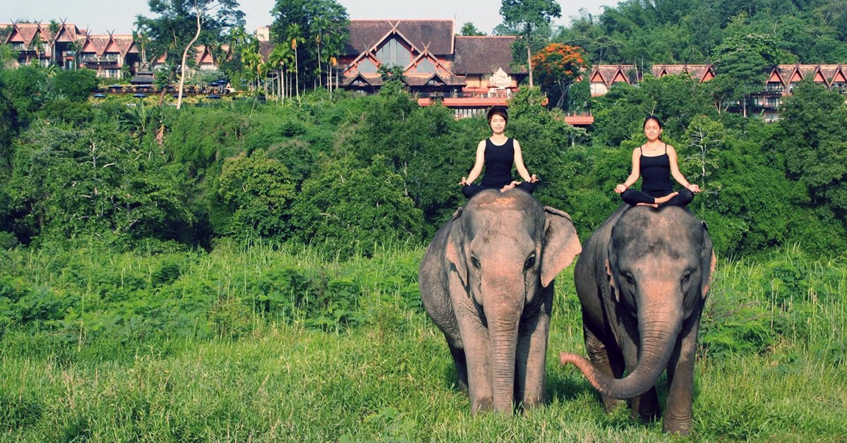 Dos chicas practican yoga sobre un elefante 