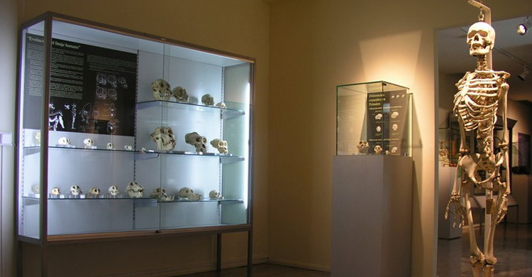 Cartel de entrada (Museo Africano Mundo Negro, Facebook)