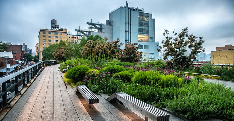 Vistas del High Line de Nueva York