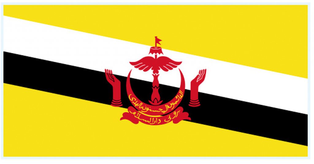 imagen bandera brunei