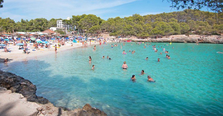 viajes imserso Mallorca