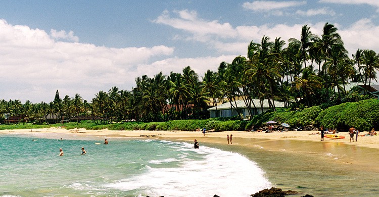 Hawaii de vacaciones y boda