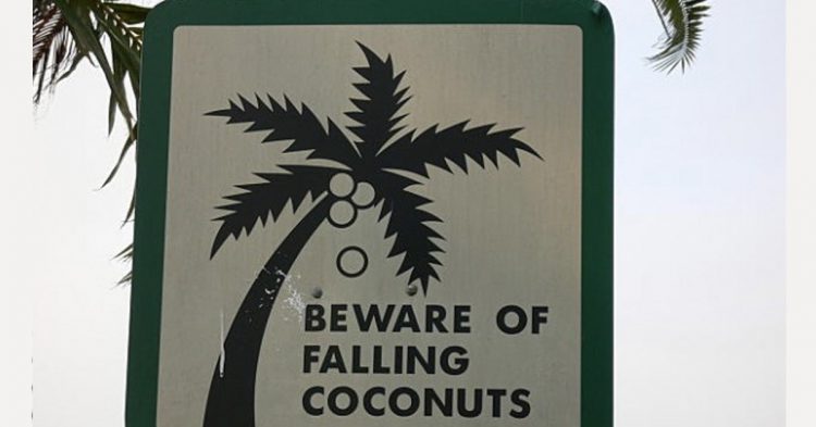 Vista Filipinas en verano