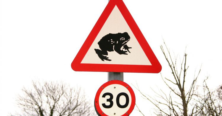 Edimburgo en primavera