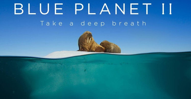 Cartel promocional (BBC Earth 2017, Facebook)