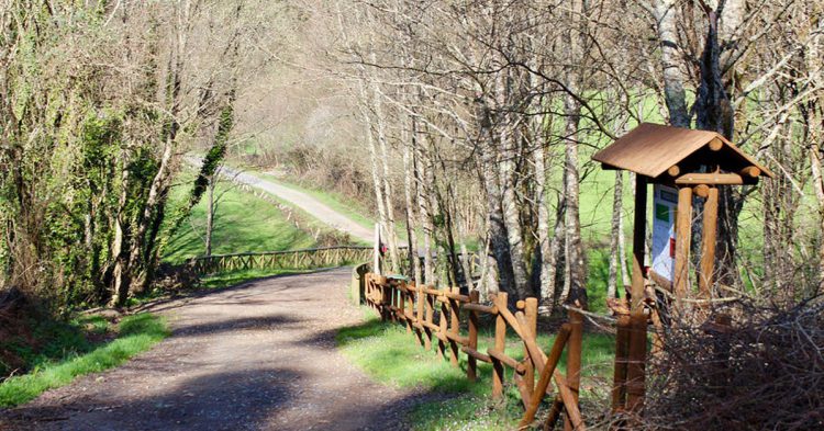 Disfruta recorriendo el Camino de Santiago (Fuente: Subherwal / Flickr)