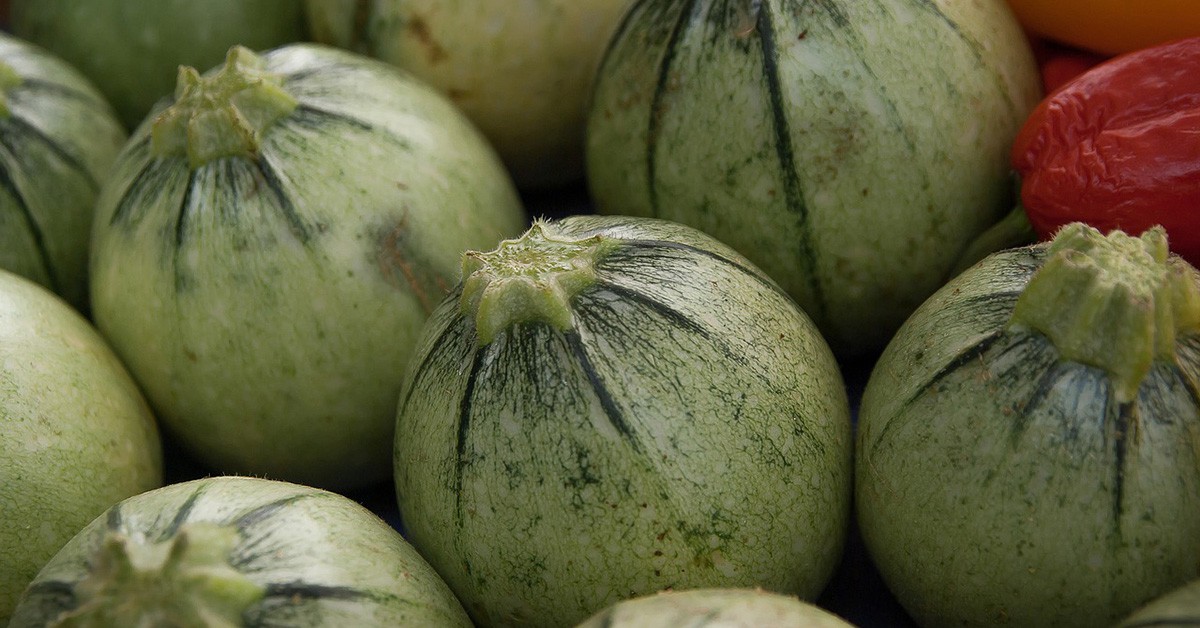 Detalle de calabacines