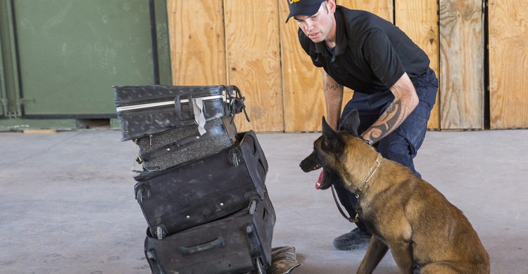 Entrenamiento canino en El Paso, Texas (US Customs and Border, Flickr)