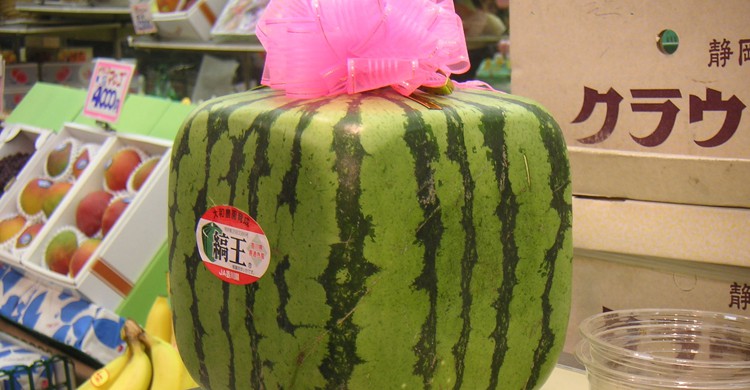 Sandías cuadradas desde Japón (Wikipedia)